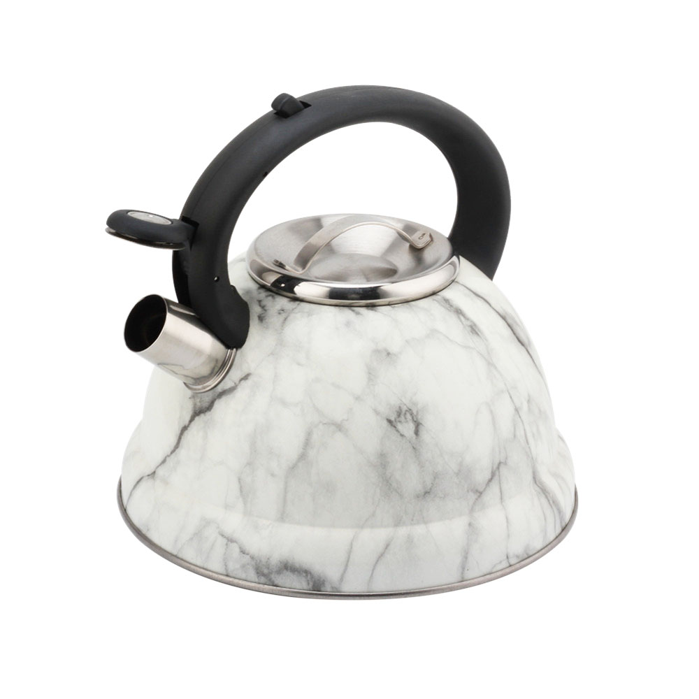 Modern Fashionable Whistling Kettle- Stainless Steel-Tea Set — 2
