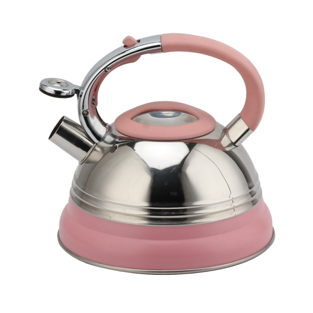 Modern Induction Kettle, Stainless Steel Whistling Kettle, Tea Kettle for All Hobs — 3