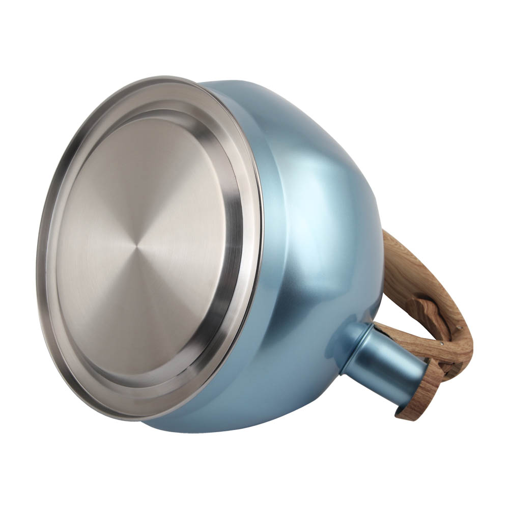 S/S Whistling Kettle-Suitable for Induction And Gas — product information