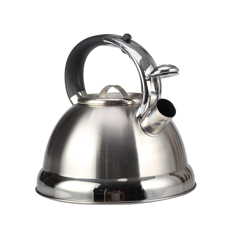 Stainless Steel Whistling Tea Kettle for Kitchen — 2