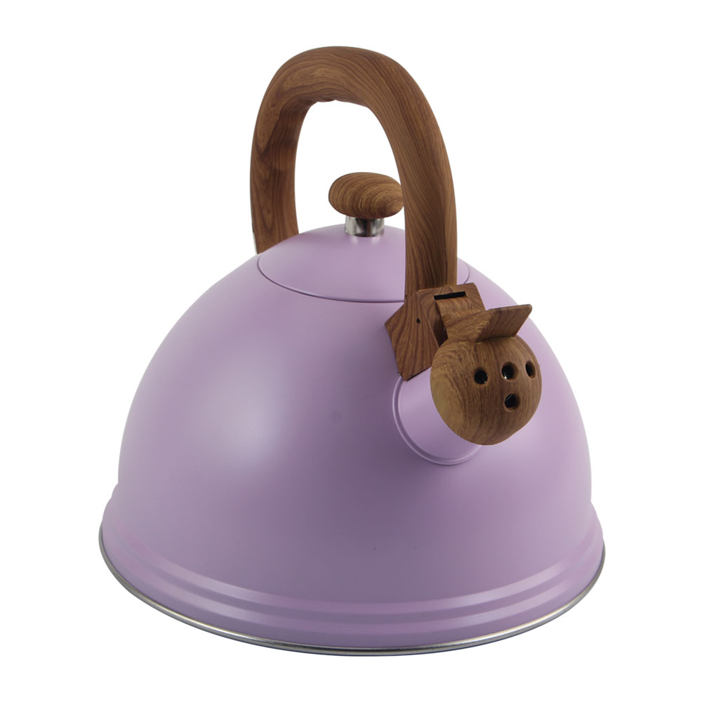 S/S Whistling Kettle-Suitable for Induction And Gas — product information