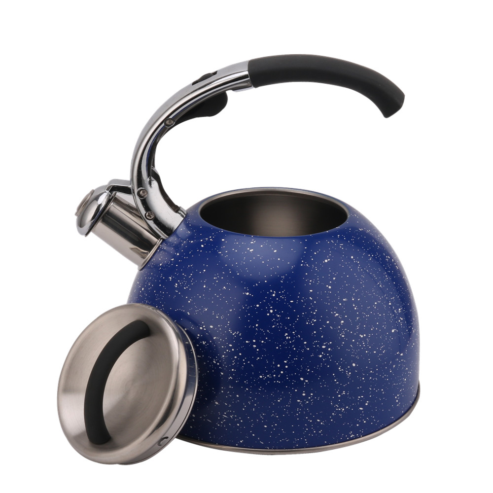 3 Litre Capacity Stainless Steel Whistling Tea Kettle-Blue — 4