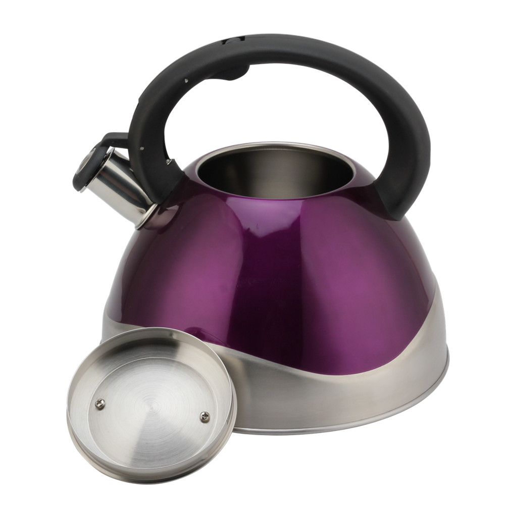 Stainless Steel Whistling Kettle - Tea Kettle for Stove - Teapot Suitable for Induction And Gas — product information