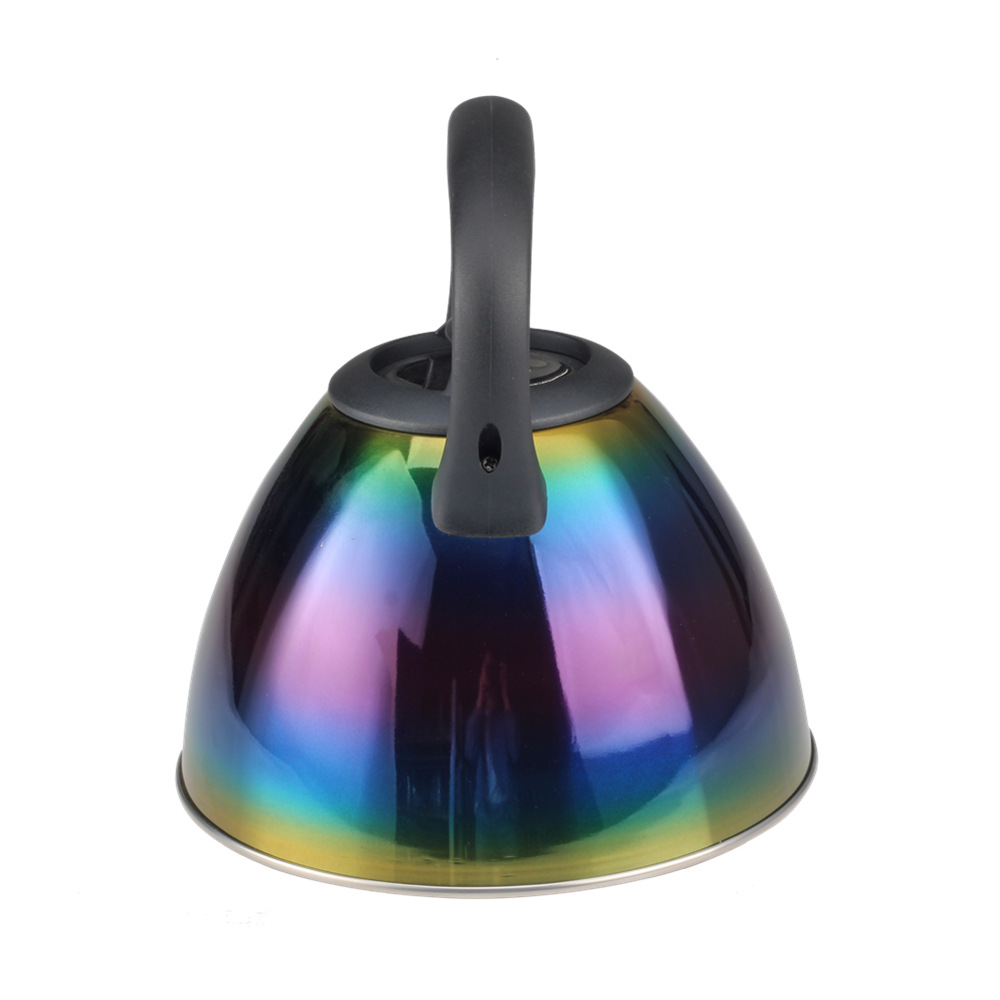 Classic Stainless Steel Whistling Tea Kettle With Silicone Handle — 2