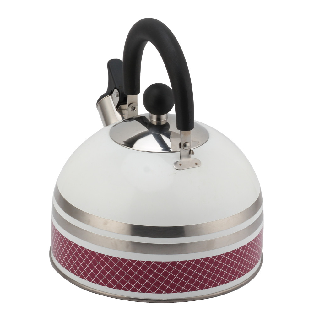 S/S Tea Kettle With Whistling Sound-Suitable for All Hob Types — 5