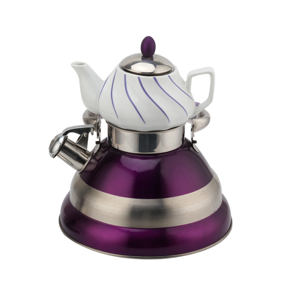 Fancy Special Whistling Kettle-Stainless Steel-Double — product information