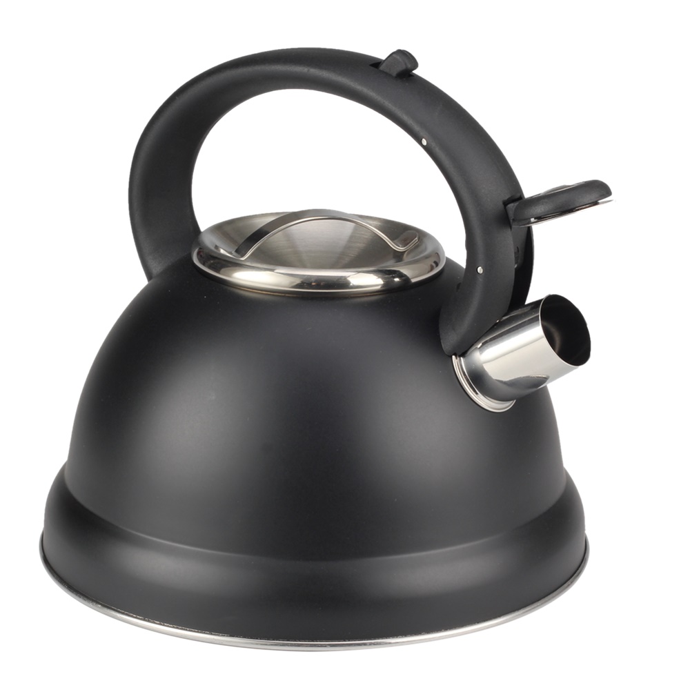 Whistling Kettle Induction-Whistling Kettle Made Of Stainless Steel — 4