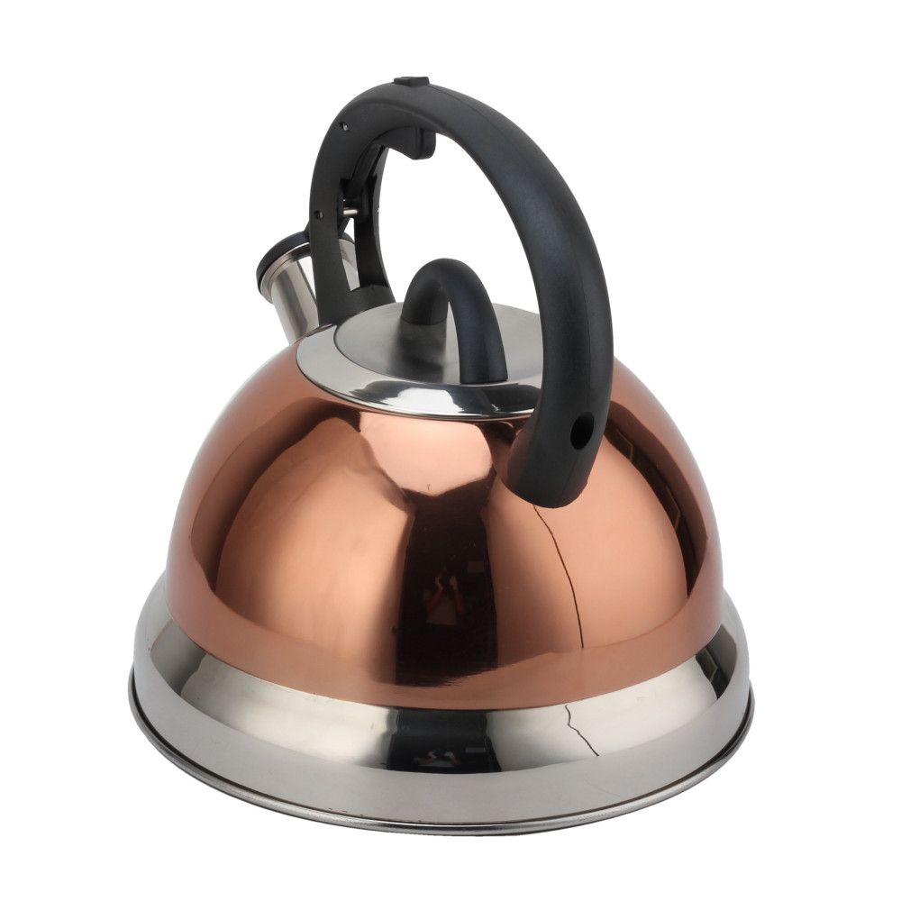 S/S Whistling Teapot With Handle for Induction And Gas — 2