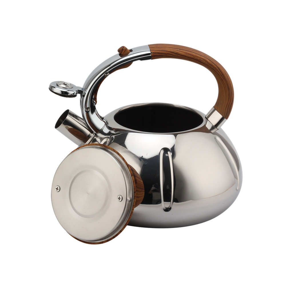 Fashionable Whistling Kettle-Kettle With Flute-Tea Kettle — 5