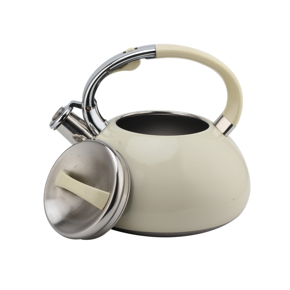 Kettle With Flute-Tea Kettle-Stainless Steel-Induction — product information