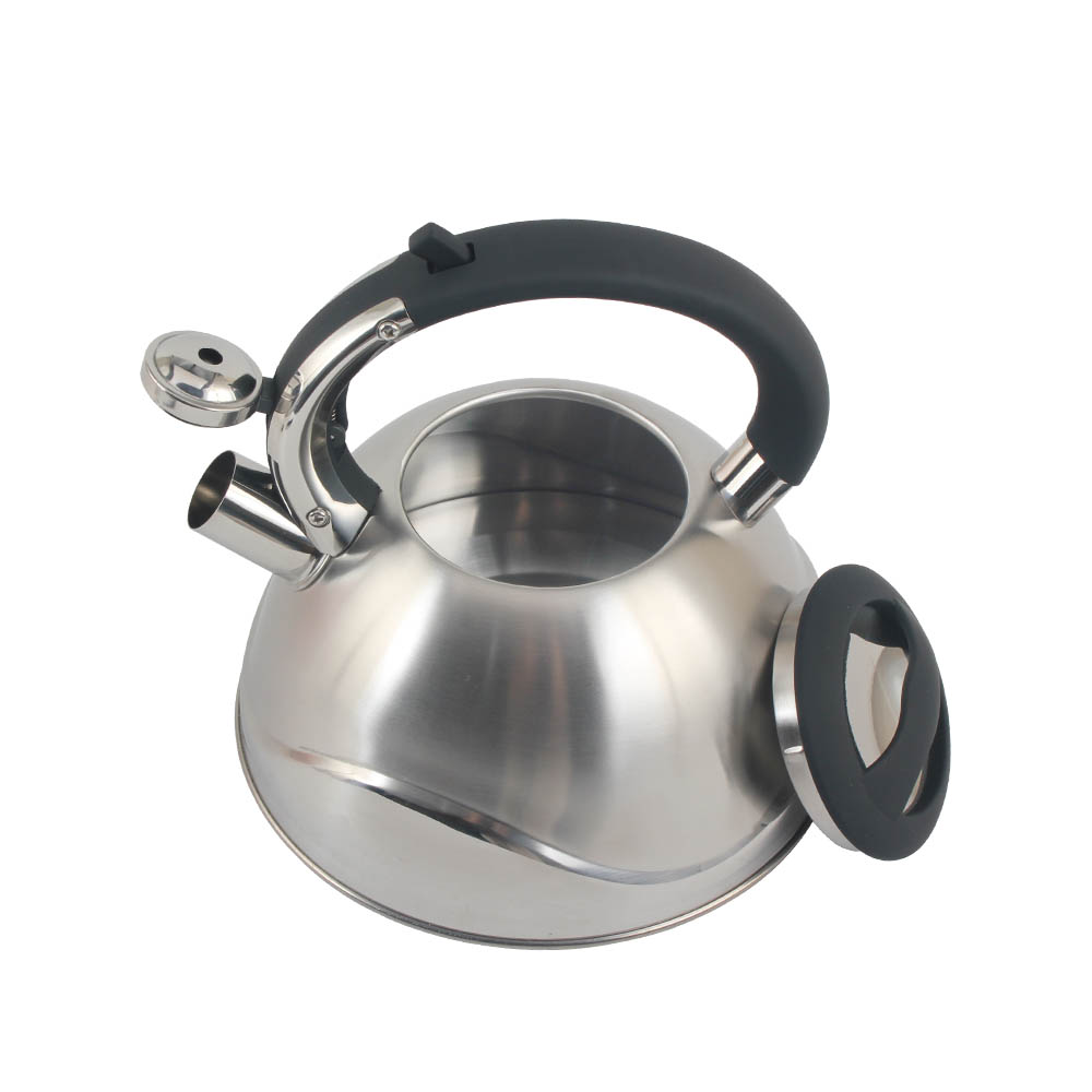 Stainless Steel Whistling Tea Kettle, Silver-Colored — product information