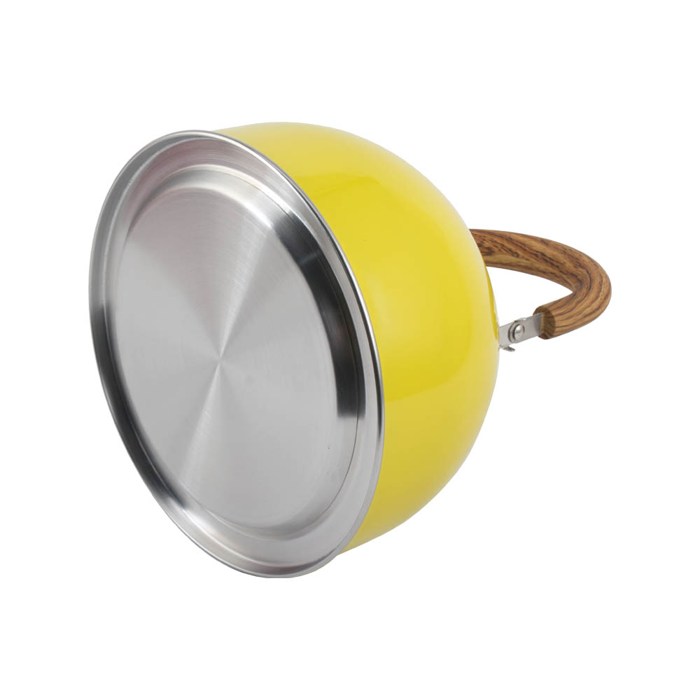 Stainless Steel Whistling Tea Kettle (Yellow) — 5