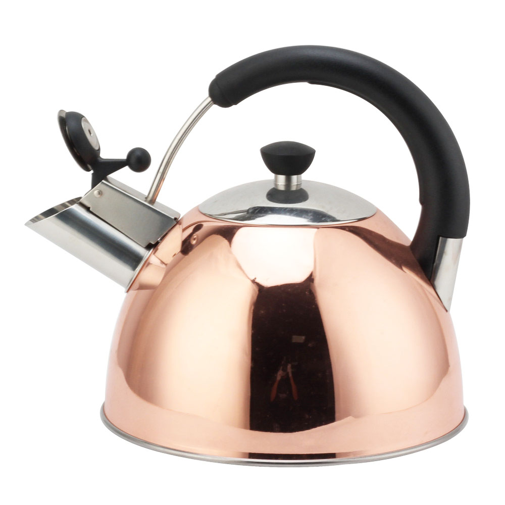Modern S/S Whistling Kettle for Kitchen — 4
