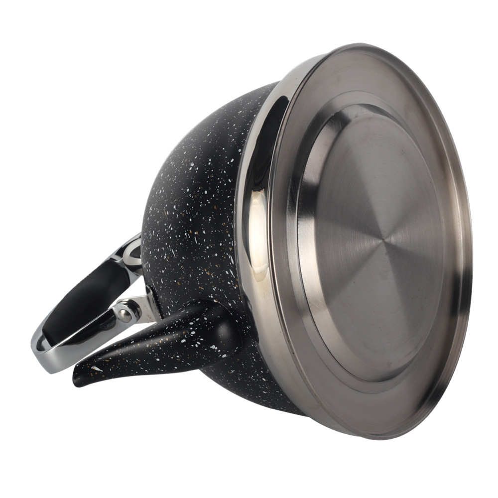 Whistling Kettle With Handle & Whistling Sound — 5