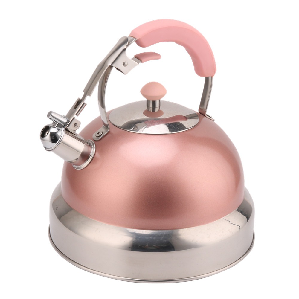 Kettle Induction-Stainless Steel Tea Kettle-Pink Color — product information