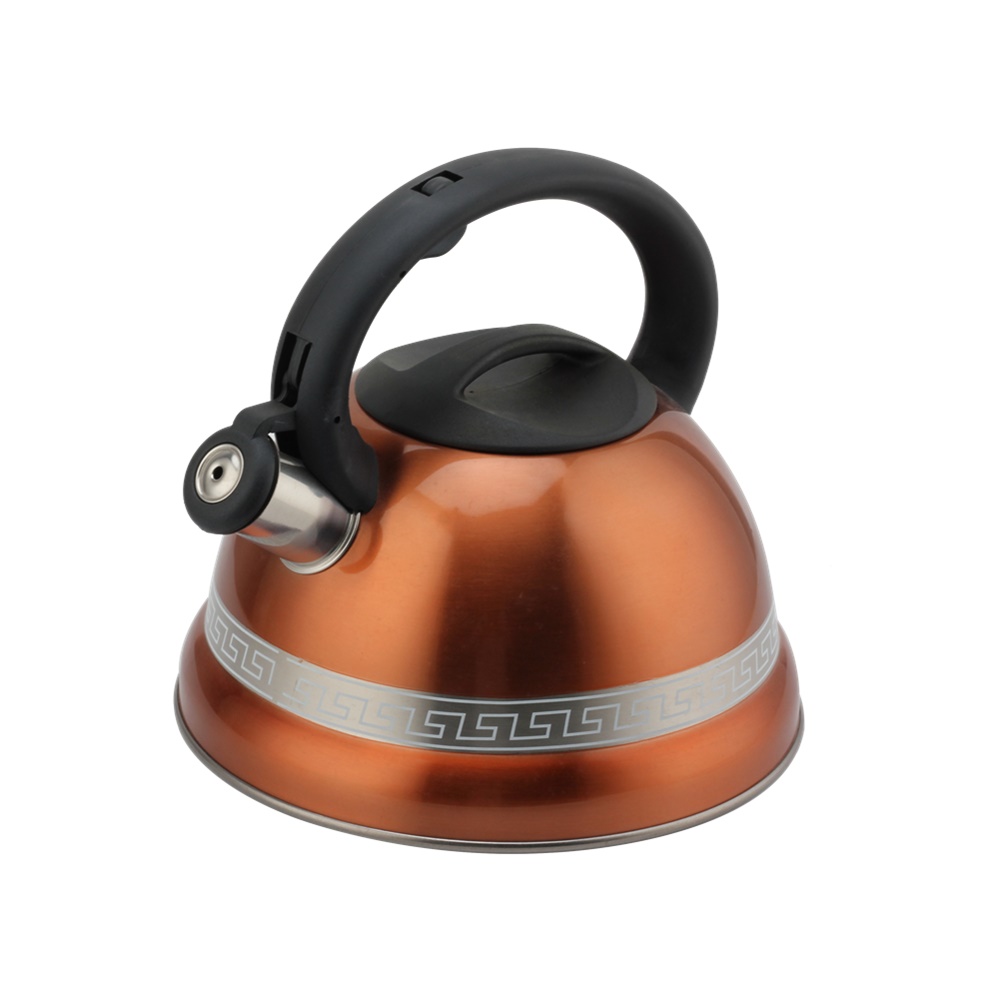Kettle With Whistle, Suitable for Induction, 3L, Stainless Steel — 2