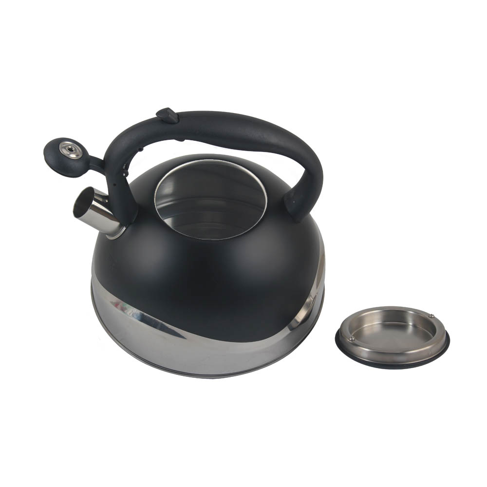 Modern Stainless Steel Whistling Kettle, Ergonomic Handle — product information