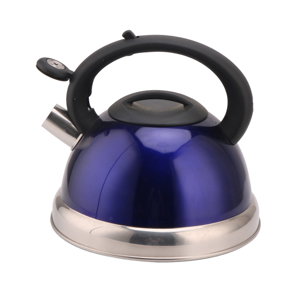 3L Stainless Steel Whistling Kettle for Kitchen — 3