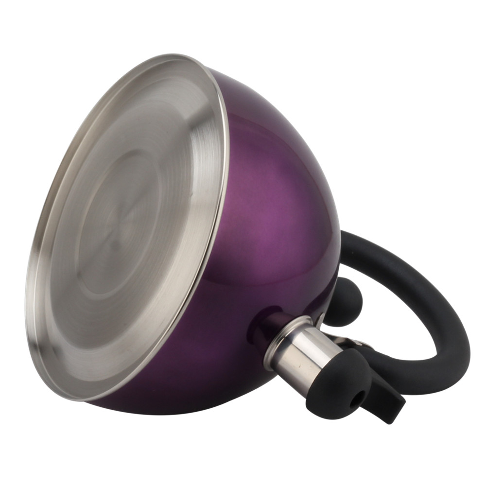 Stainless Steel Whistling Kettle -Teapot Suitable for Induction And Gas — 6