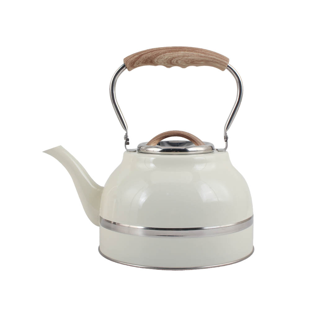 Stainless Steel whistling Kettle — 3