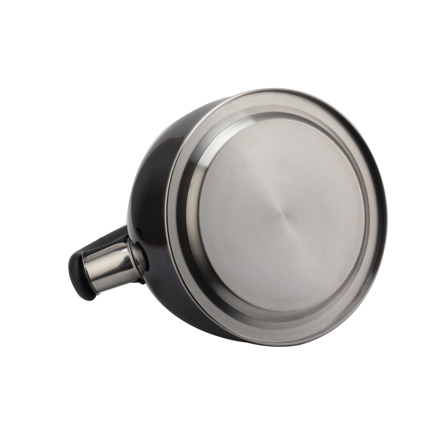Stainless Steel Whistling Kettle (Black) — 3