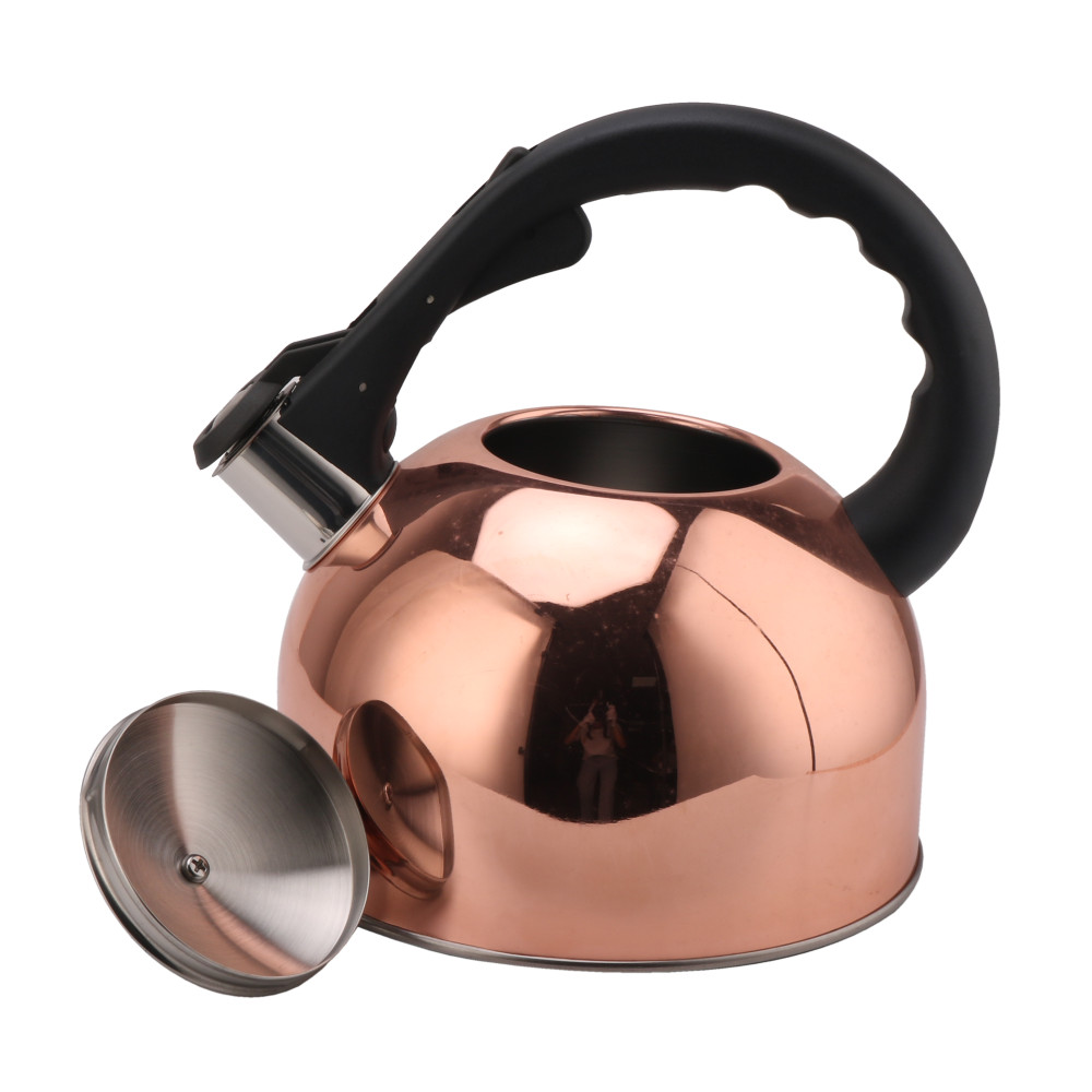 Classic S/S Whistling Kettle — 5