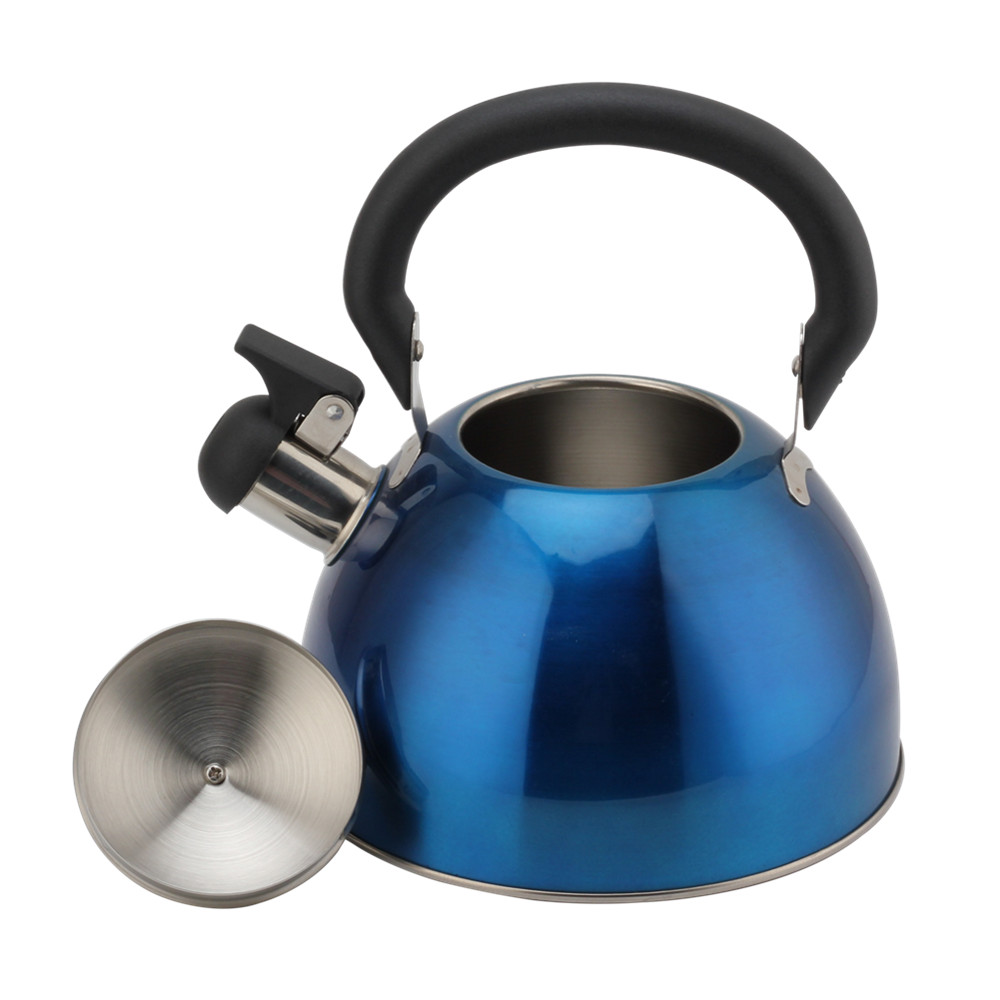 Stainless Steel Whistling Kettle (Blue) — 6
