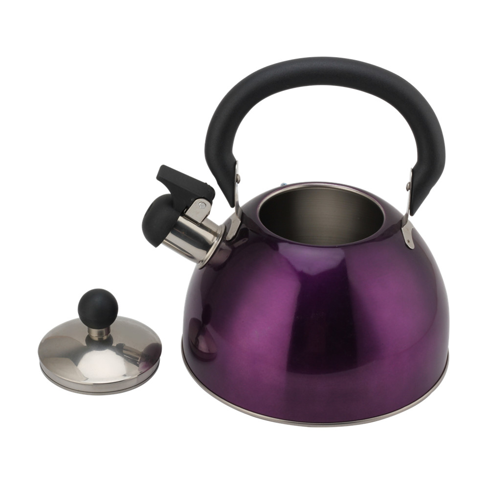 Stainless Steel Whistling Kettle -Teapot Suitable for Induction And Gas — 4