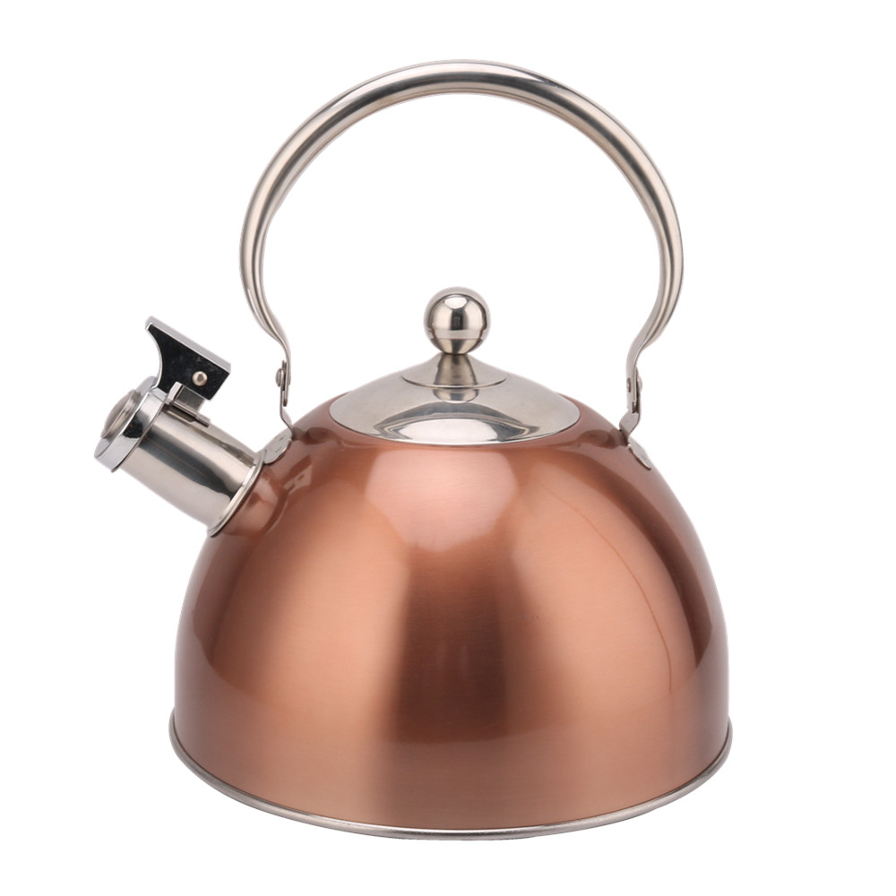 Kettle Induction-Stainless Steel Tea Kettle 2.5L Teal — product information