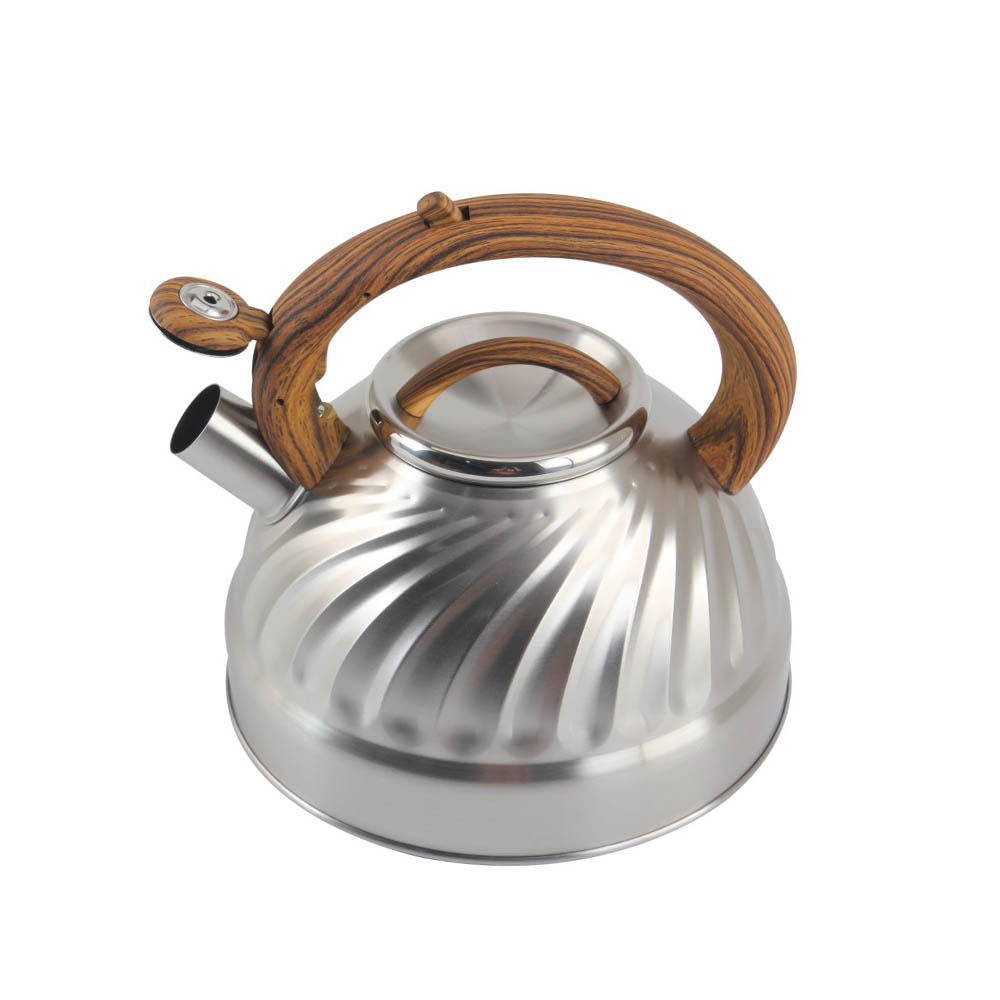 Stainless Steel whistling Kettle — 3