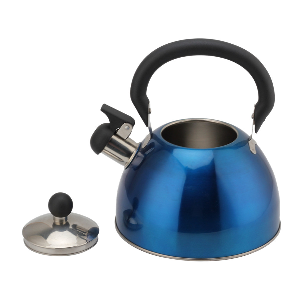 Stainless Steel Whistling Kettle (Blue) — 5