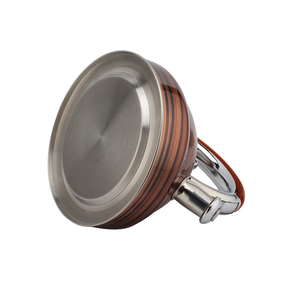 Kettle, Stainless Steel Kettle, Induction Whistling Kettle, Tea Kettle — 2