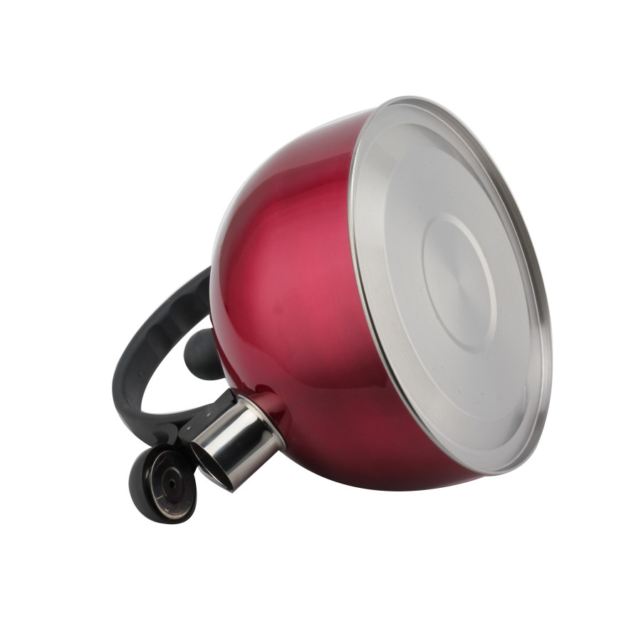Induction Kettle-3L Whistling Kettle-Kettle Gas Stove — 6