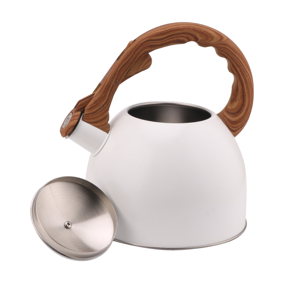 Whistling Tea Kettle-Cooker Induction-Stainless Steel Teapot Quick Kettle for Kitchen — 6