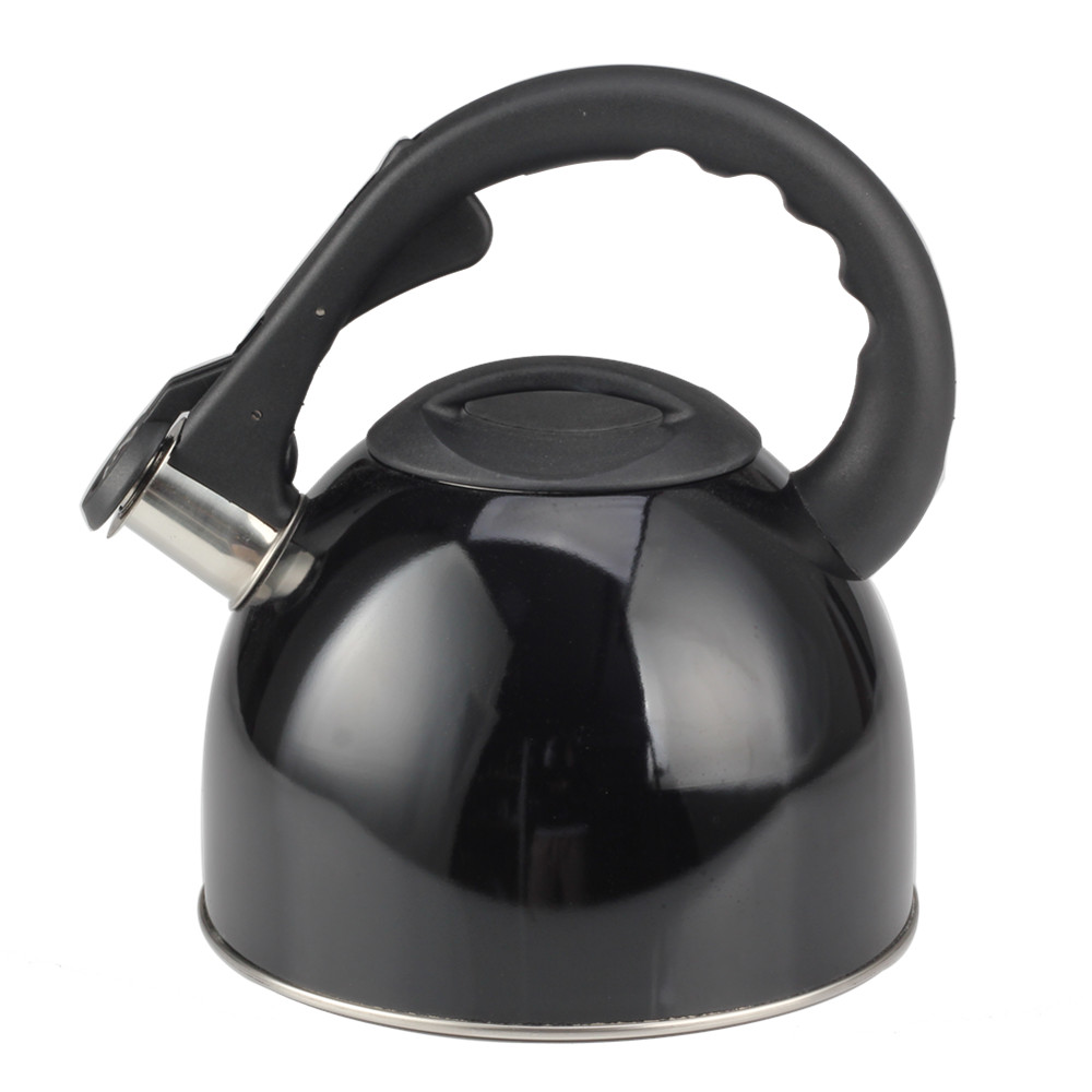 Stainless Steel Whistling Tea Kettle for Kitchen Camping — product information