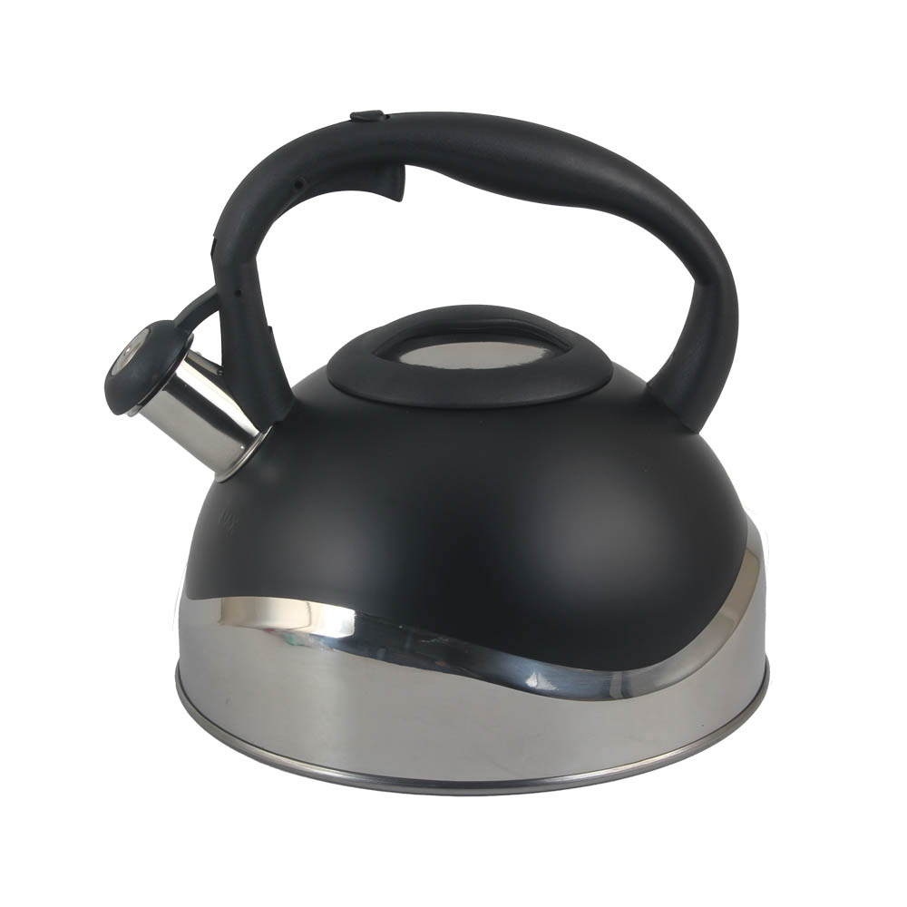 Stainless Steel whistling Kettle — product information