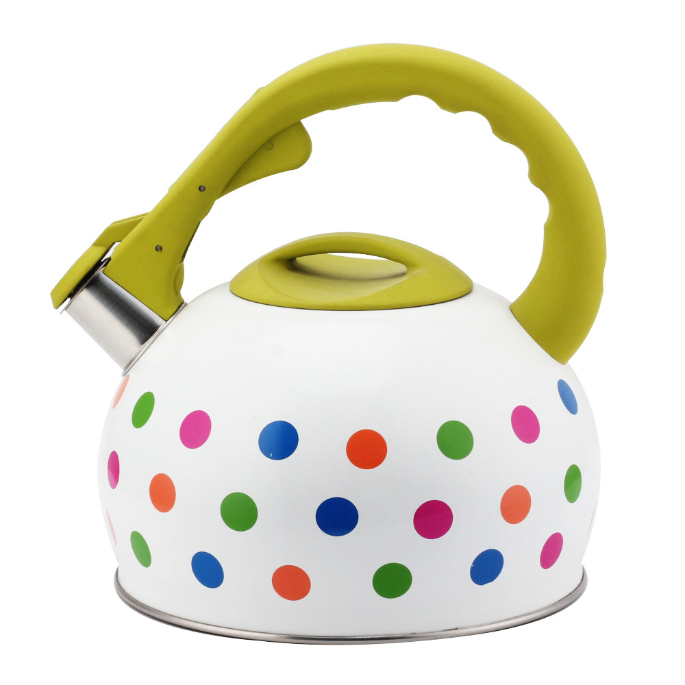Stainless Steel Tea Kettle With Whistling Sound-Green Handle