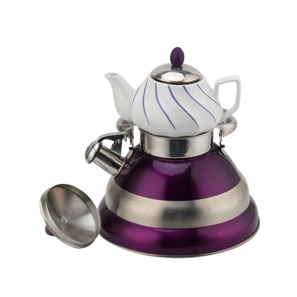 Fancy Special Whistling Kettle-Stainless Steel-Double — 5