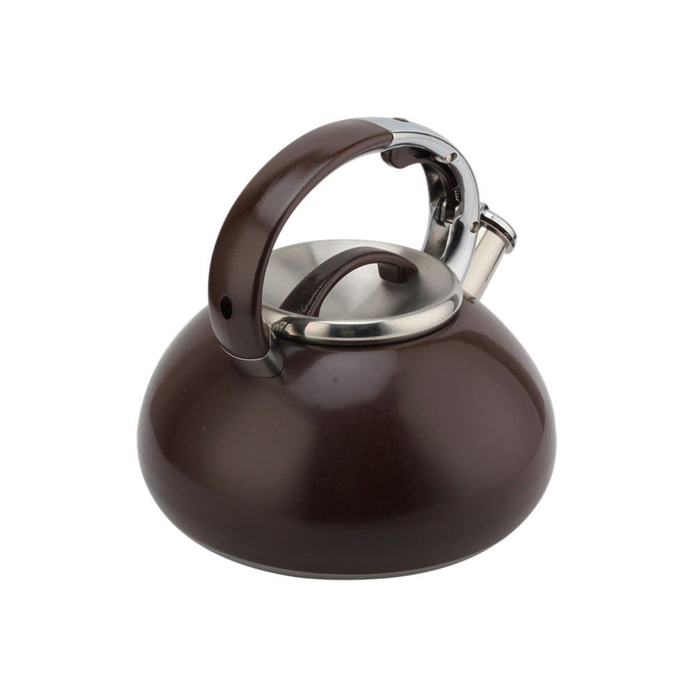 Whistling Kettle-Kettle With Flute-Tea Kettle-Stainless Steel-Induction — 2