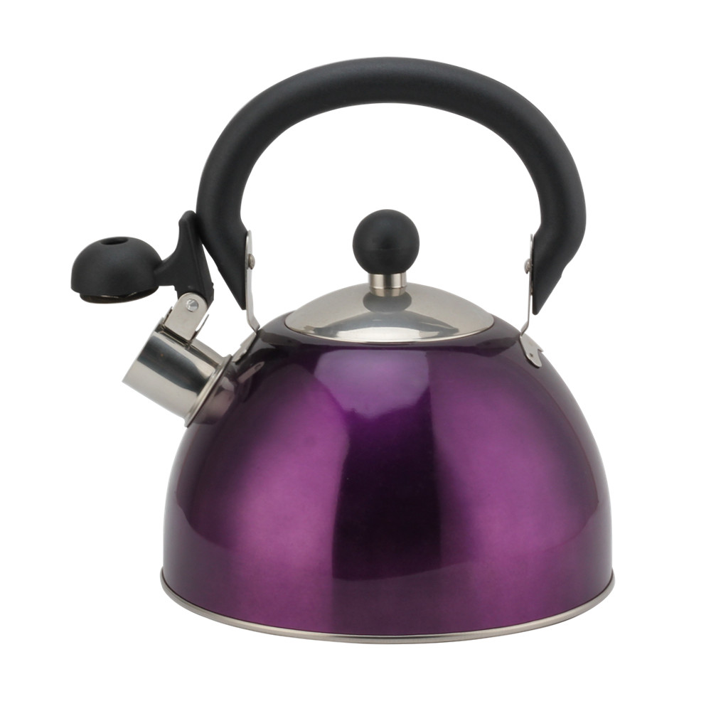 Stainless Steel Whistling Kettle -Teapot Suitable for Induction And Gas — 2