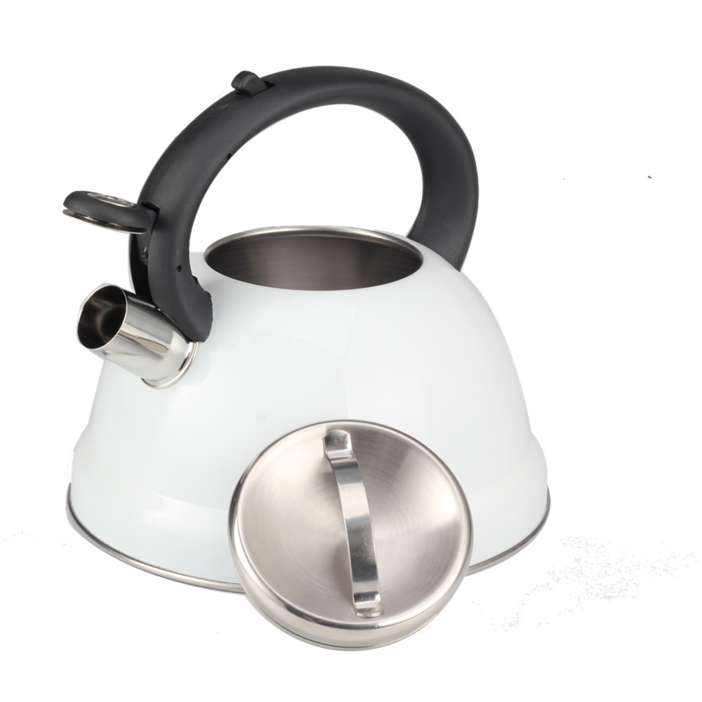 Classic Stainless Steel Whistling Tea Kettle — 6