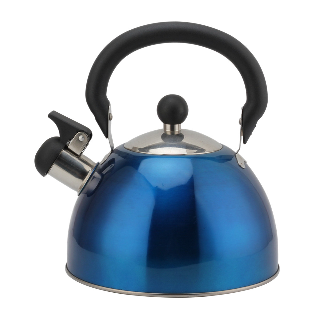 Stainless Steel Whistling Kettle (Blue) — product information