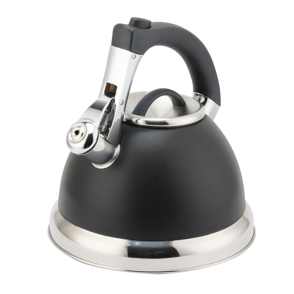 S/S Whistling Kettle With Handle — product information
