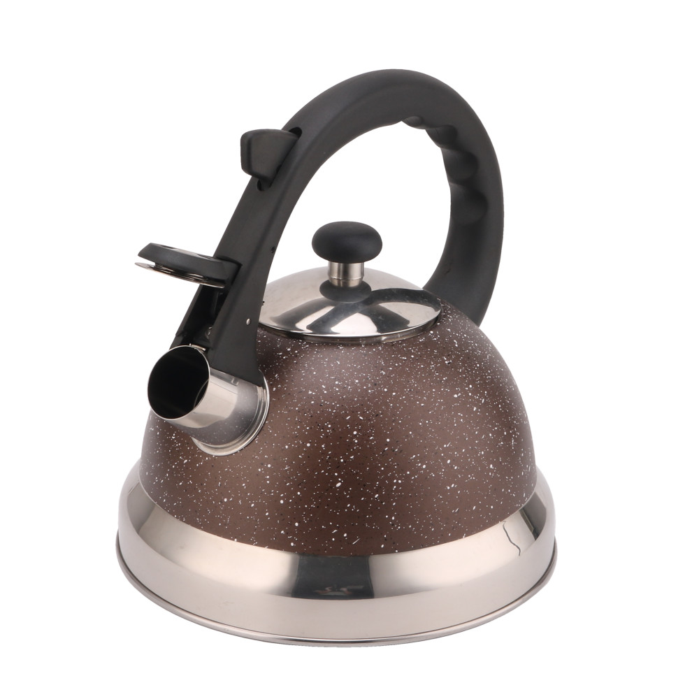 Stainless Steel Whistling Tea Kettle With Silicone Handle Coffee And Tea Sets — 3
