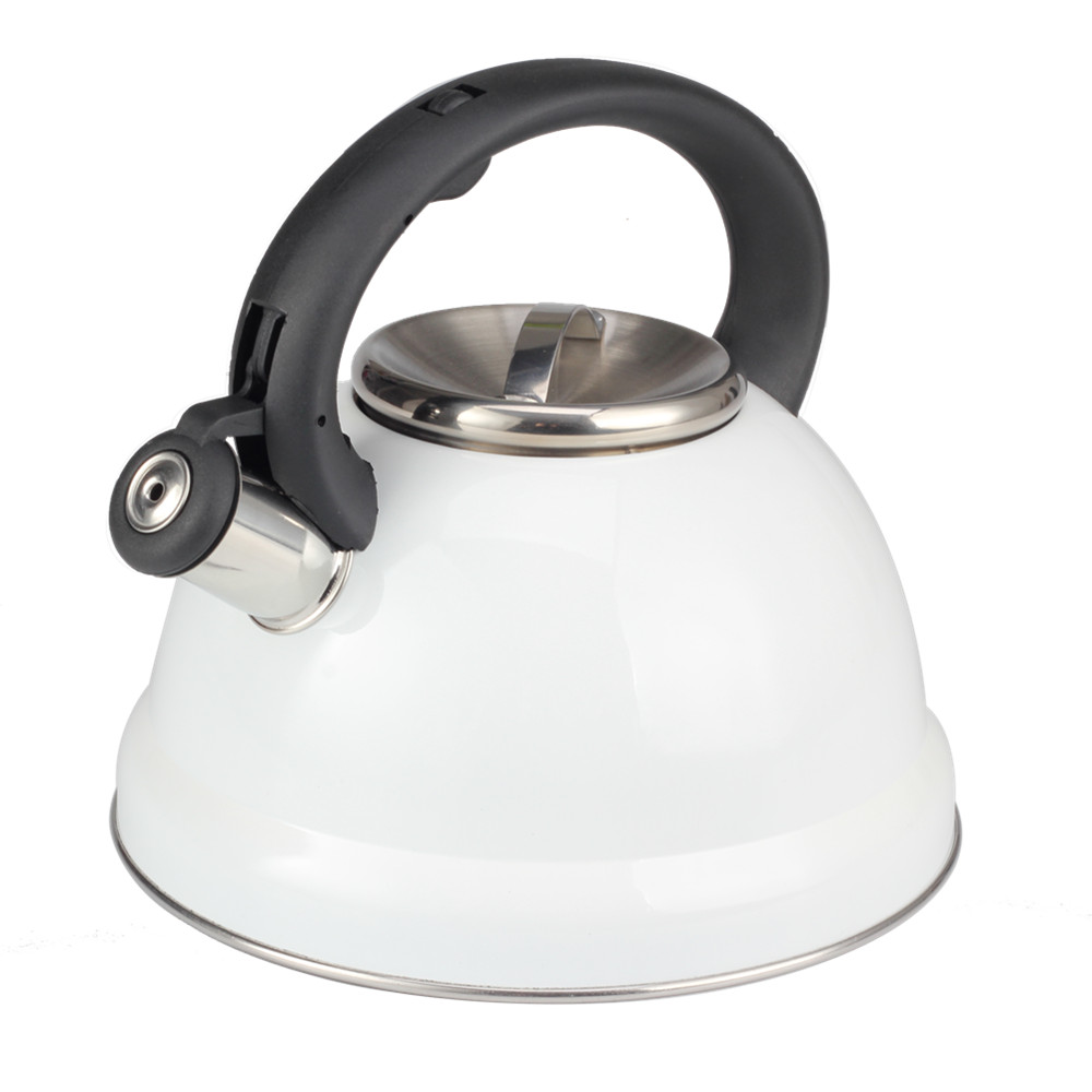 Classic Stainless Steel Whistling Tea Kettle — 2
