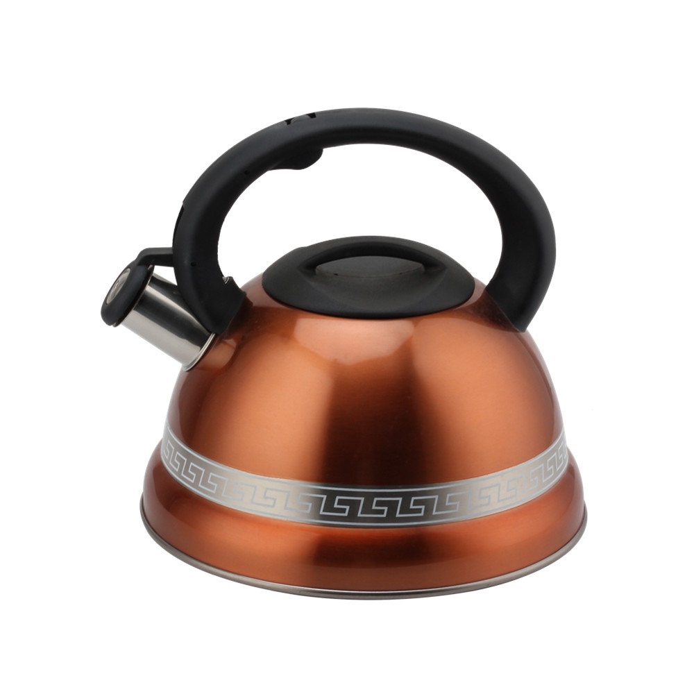 Kettle With Whistle, Suitable for Induction, 3L, Stainless Steel — product information