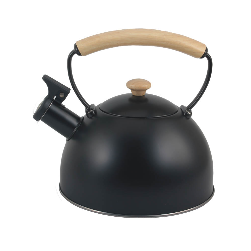 Stainless Steel whistling Kettle — product information