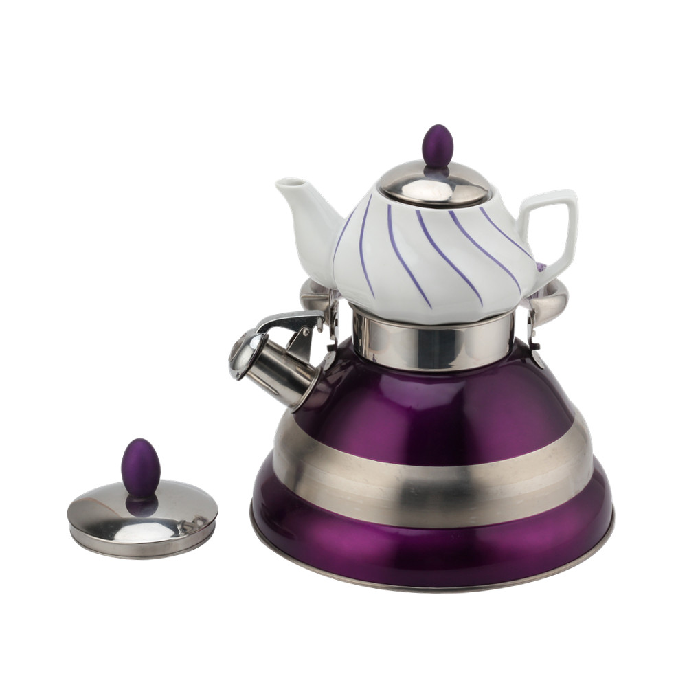 Fancy Special Whistling Kettle-Stainless Steel-Double — product information