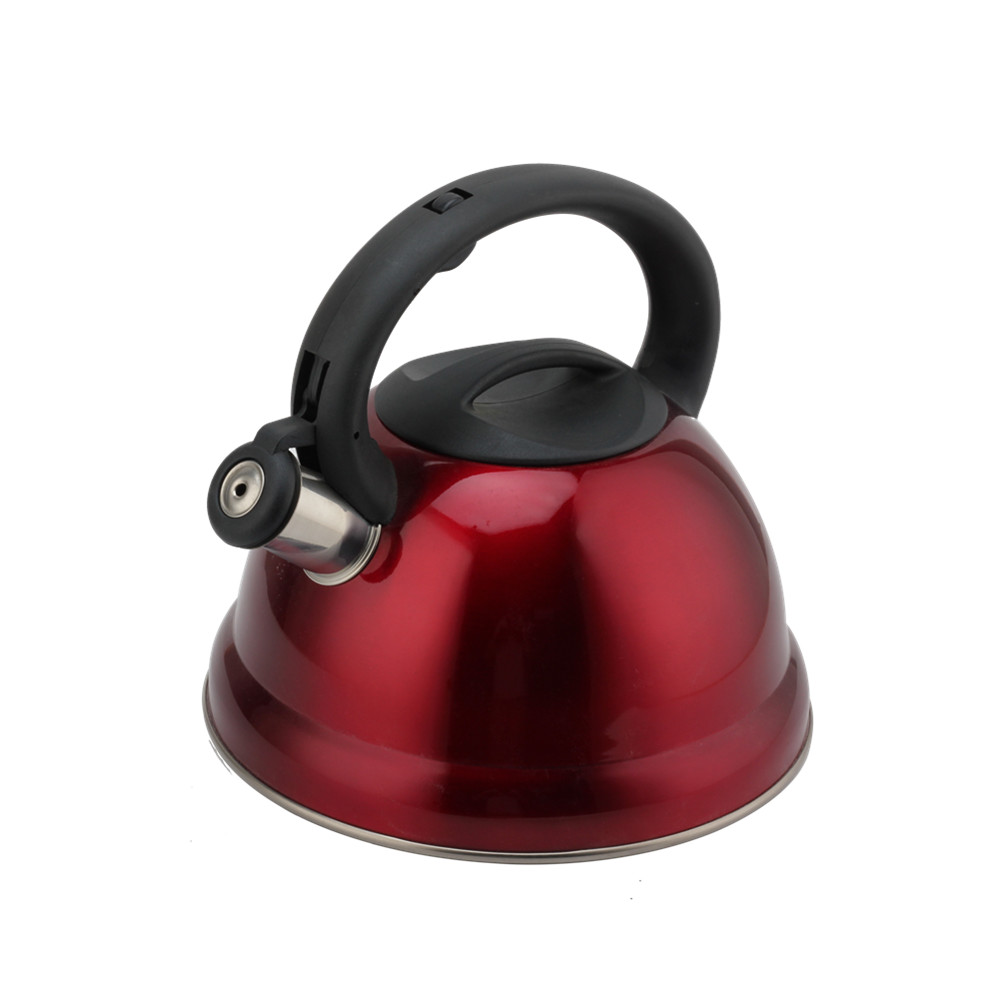 Tea Kettle With Flute-Whistling Kettle — 4
