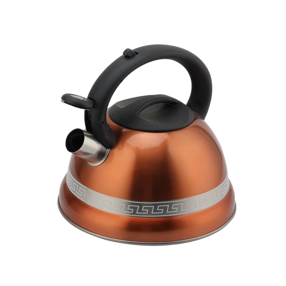 Kettle With Whistle, Suitable for Induction, 3L, Stainless Steel — 3